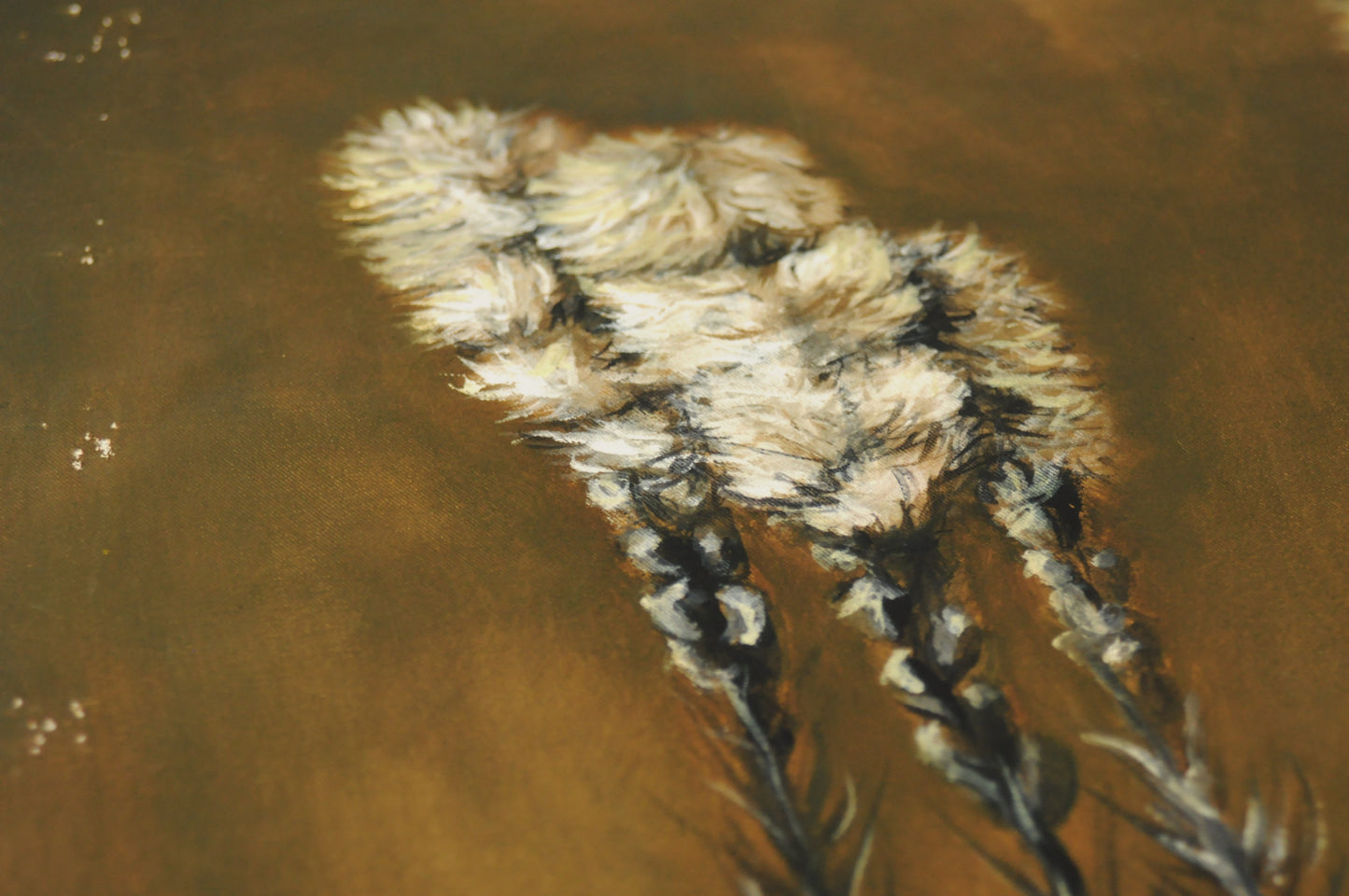 Fine Art Druck | Blumen