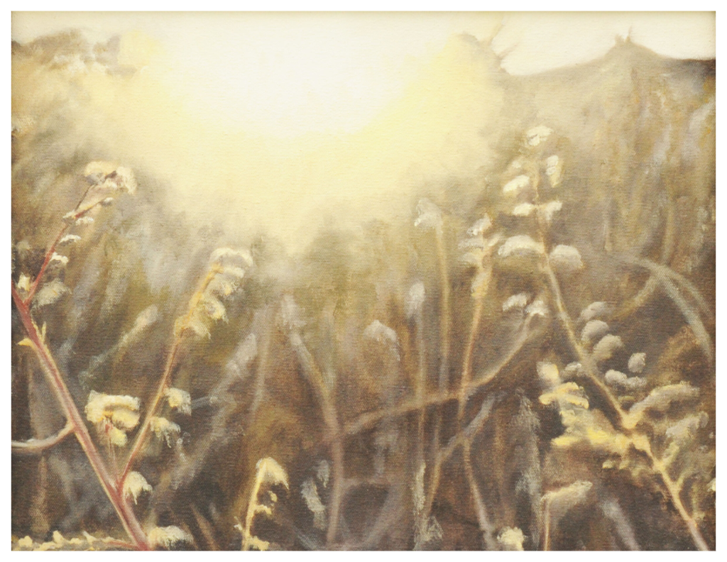 Fine Art Druck | Morgenlicht