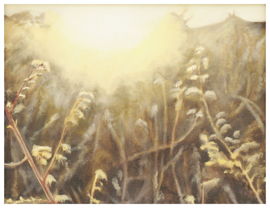 Fine Art Druck | Morgenlicht