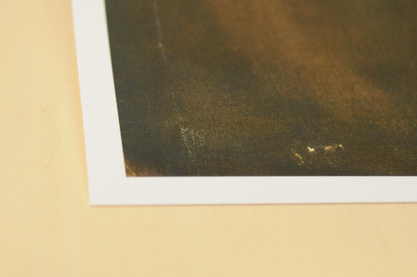 Fine Art Druck | Blumen