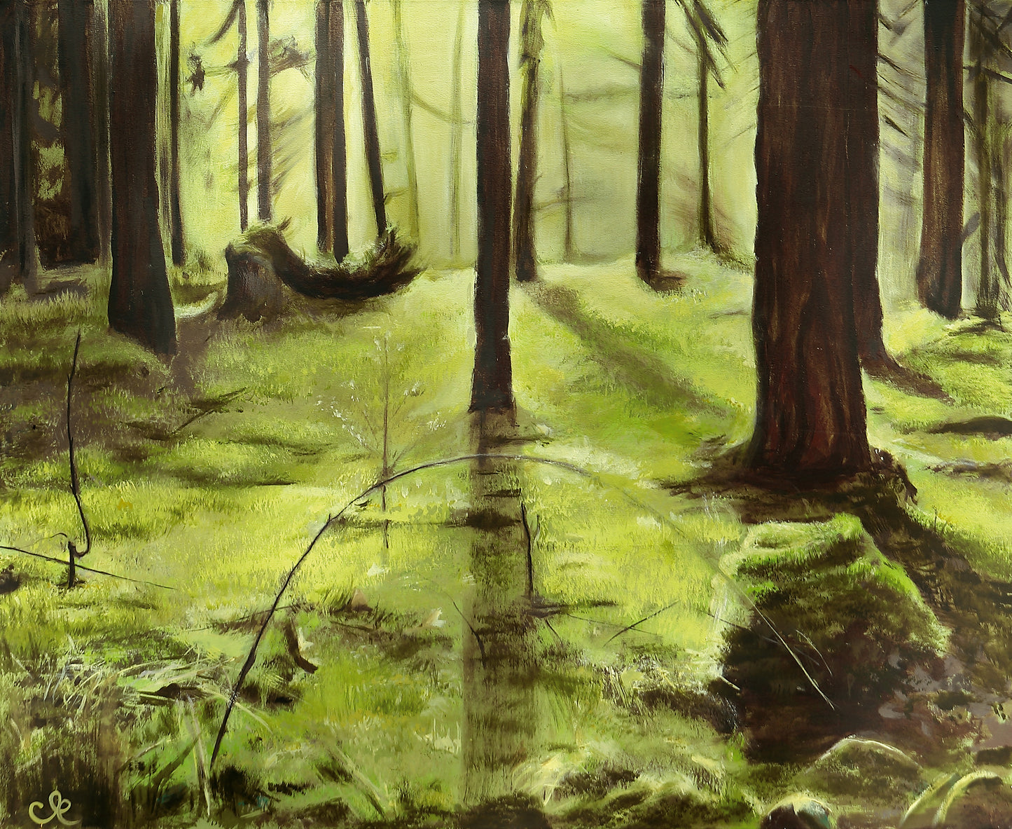 Fine Art Druck | Waldspaziergang