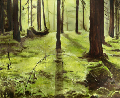 Fine Art Druck | Waldspaziergang