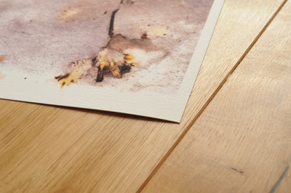 Ecoprint | Wiesenknopf