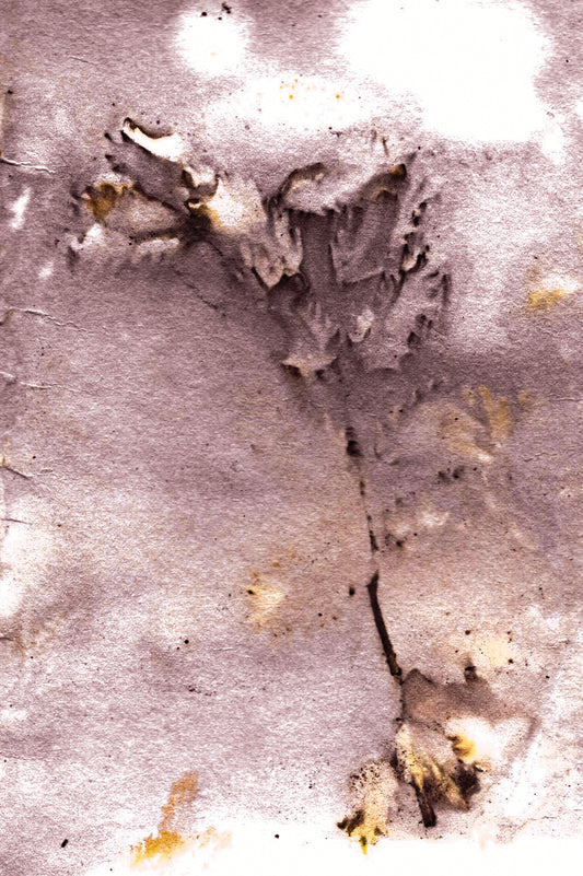 Ecoprint | Wiesenknopf