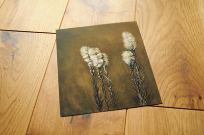 Fine Art Druck | Blumen