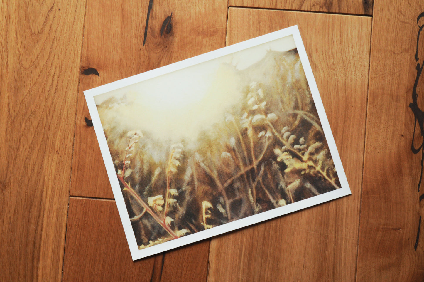 Fine Art Druck | Morgenlicht