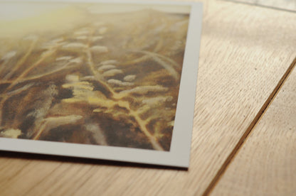 Fine Art Druck | Morgenlicht